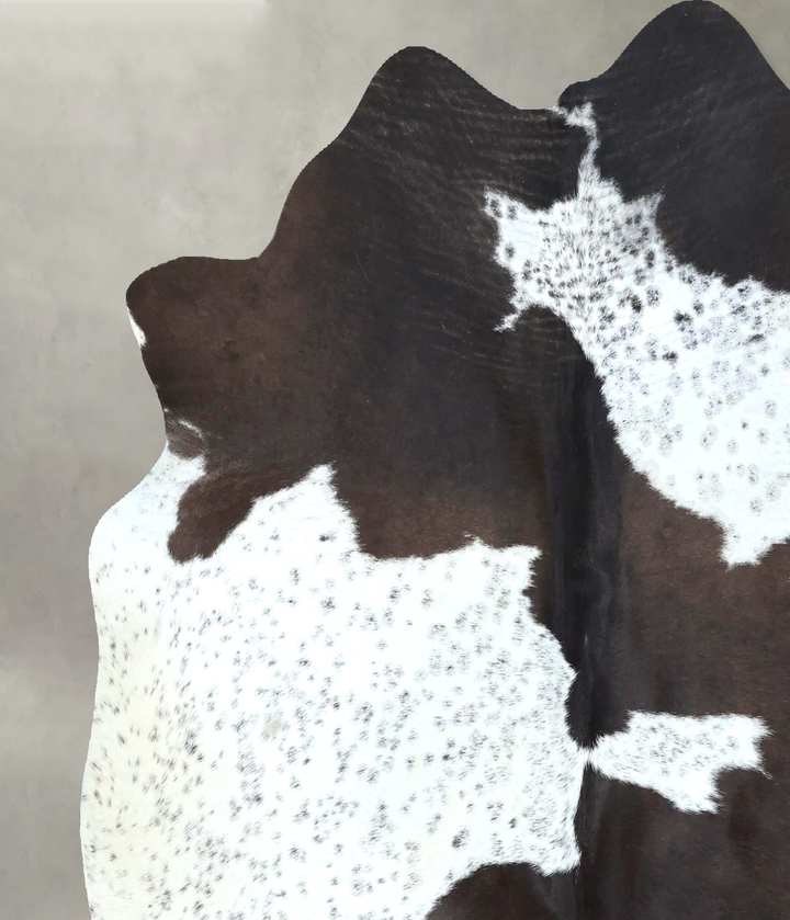 Chocolate and White Large Brazilian Cowhide Rug 6'1"H x 5'11"W #B21089 by Hudson Hides