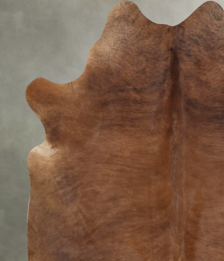 Medium Brindle Large Brazilian Cowhide Rug 6'11"H x 5'5"W #B21091 by Hudson Hides
