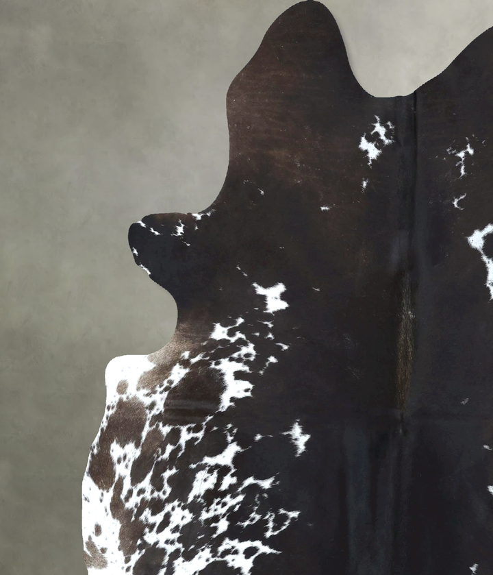 Chocolate and White X-Large Brazilian Cowhide Rug 7'1"H x 6'0"W #B21099 by Hudson Hides