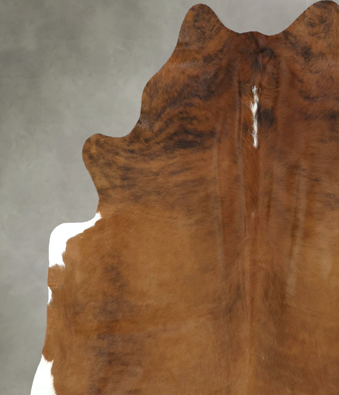 Medium Brindle X-Large Brazilian Cowhide Rug 7'2"H x 6'6"W #B21105 by 