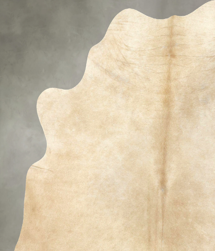 Palomino Large Brazilian Cowhide Rug 6'9"H x 5'5"W #B21109 by Hudson Hides