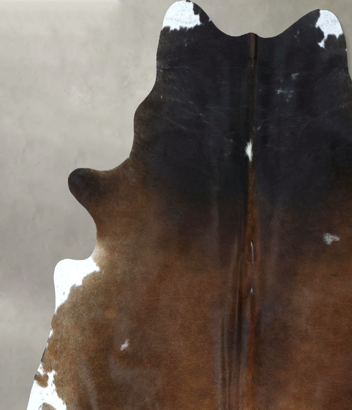 Chocolate and White XX-Large Brazilian Cowhide Rug 7'8"H x 6'8"W #B21116 by Hudson Hides