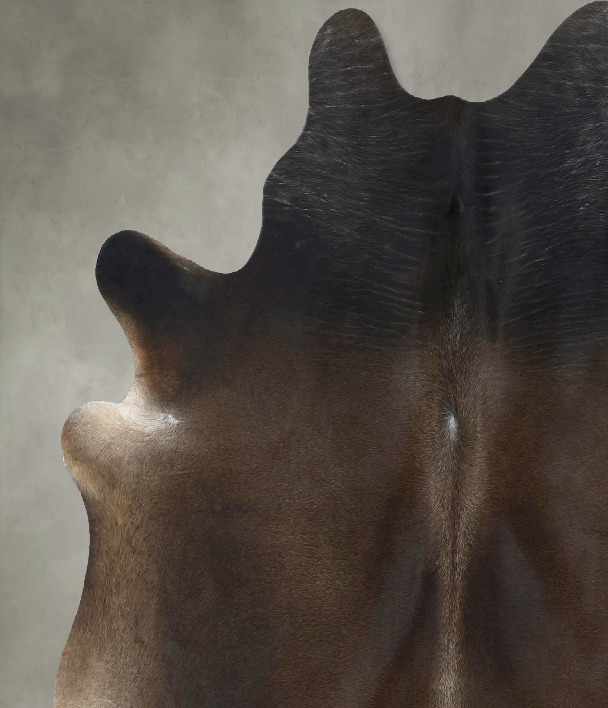 Chocolate X-Large Brazilian Cowhide Rug 6'9"H x 6'4"W #B21121 by Hudson Hides