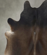 Chocolate X-Large Brazilian Cowhide Rug 6'9"H x 6'4"W #B21121 by Hudson Hides