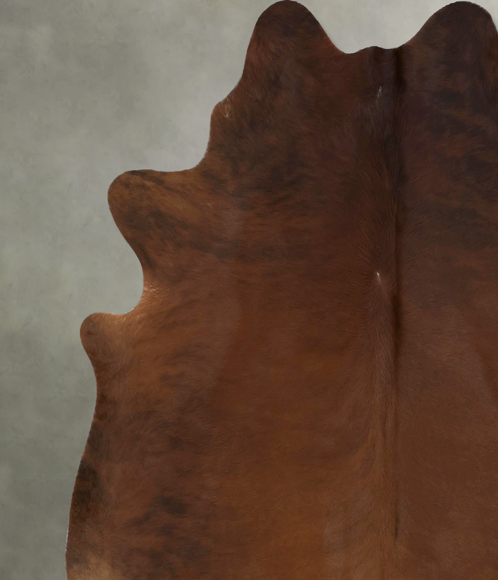 Medium Brindle X-Large Brazilian Cowhide Rug 6'11"H x 6'6"W #B21128 by Hudson Hides