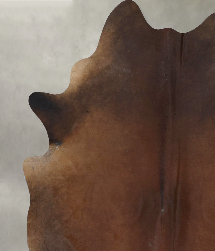 Warm Caramel X-Large Brazilian Cowhide Rug 7'10"H x 6'3"W #B21129 by Hudson Hides
