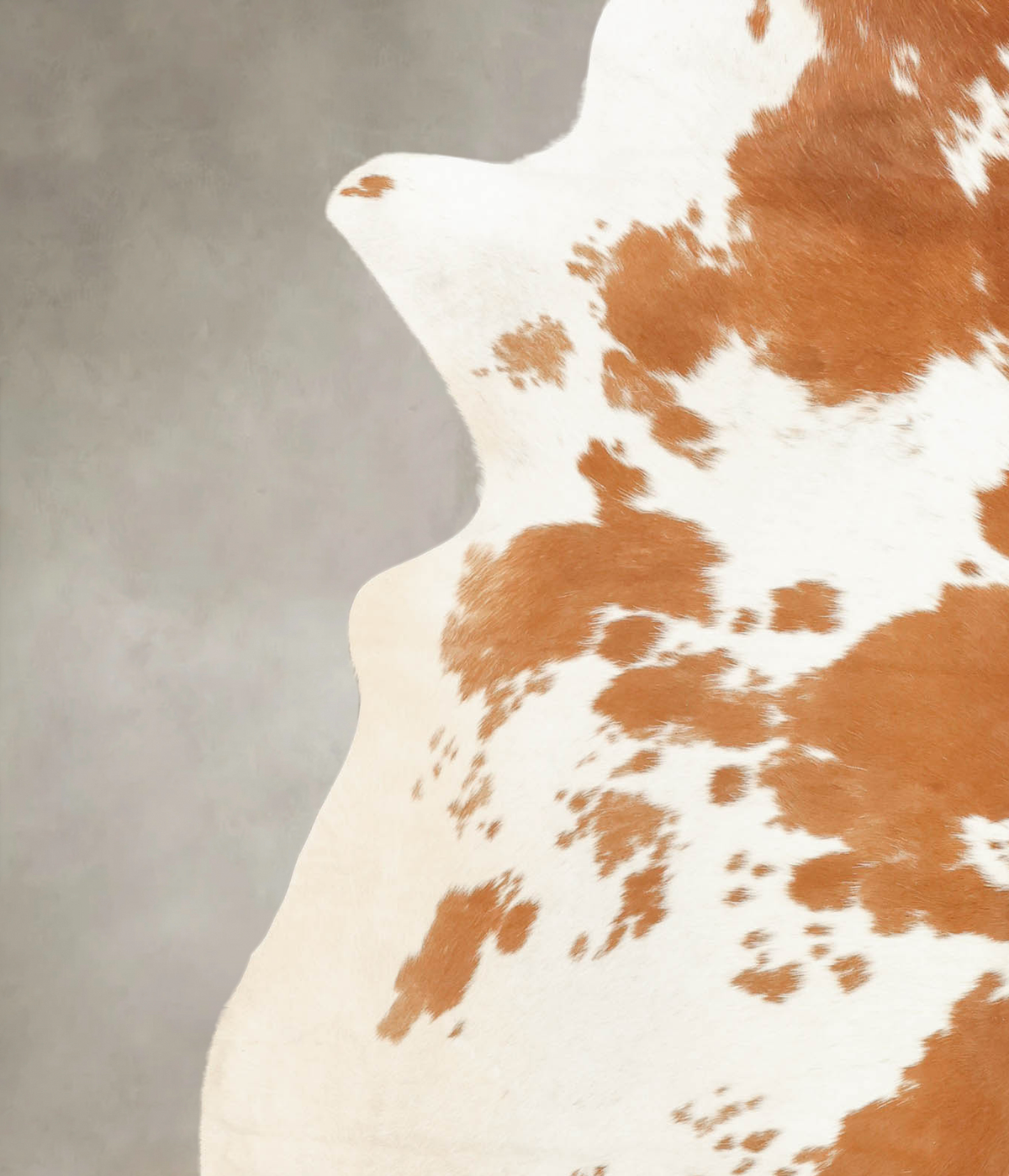 Brown and White XX-Large Brazilian Cowhide Rug 7'7"H x 6'11"W #B2113 by Hudson Hides