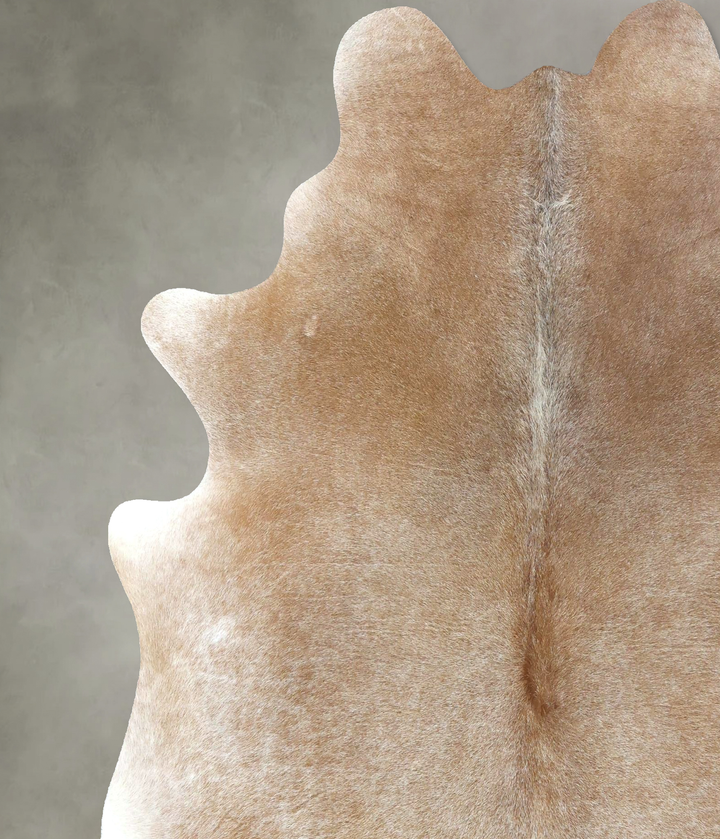 Palomino X-Large Brazilian Cowhide Rug 7'2"H x 6'2"W #B21137 by Hudson Hides