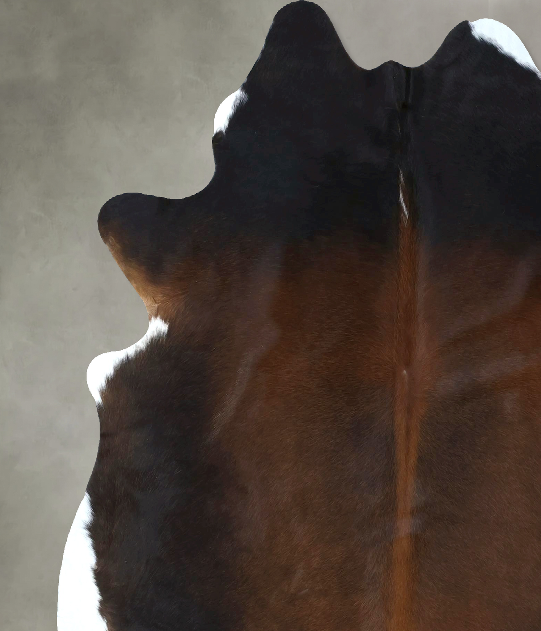 Chocolate and White X-Large Brazilian Cowhide Rug 7'0"H x 6'1"W #B2113