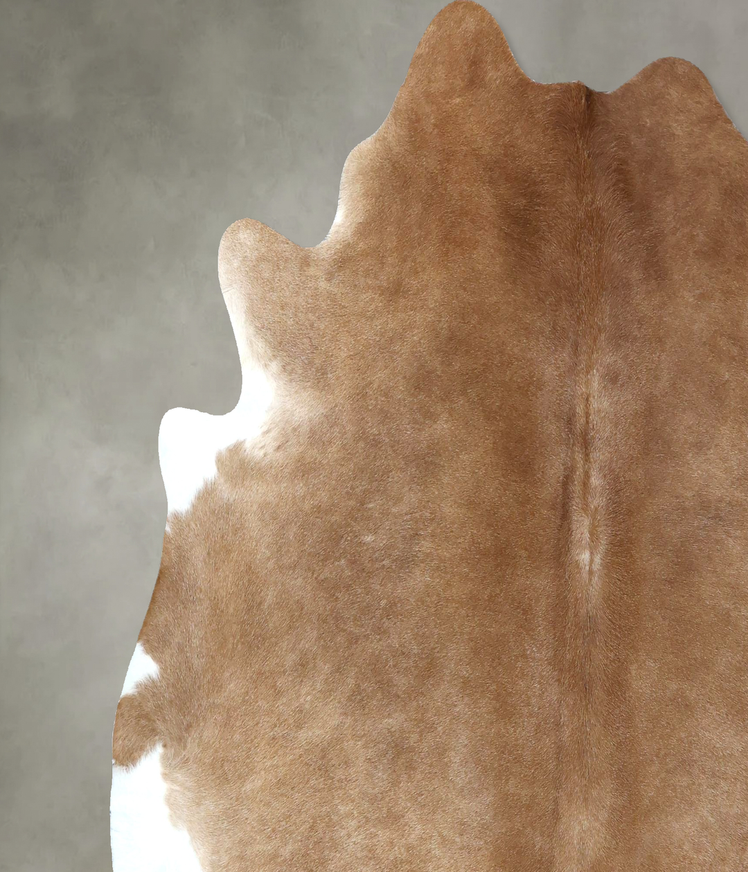 Beige X-Large Brazilian Cowhide Rug 6'7"H x 6'9"W #B21139 by Hudson Hi