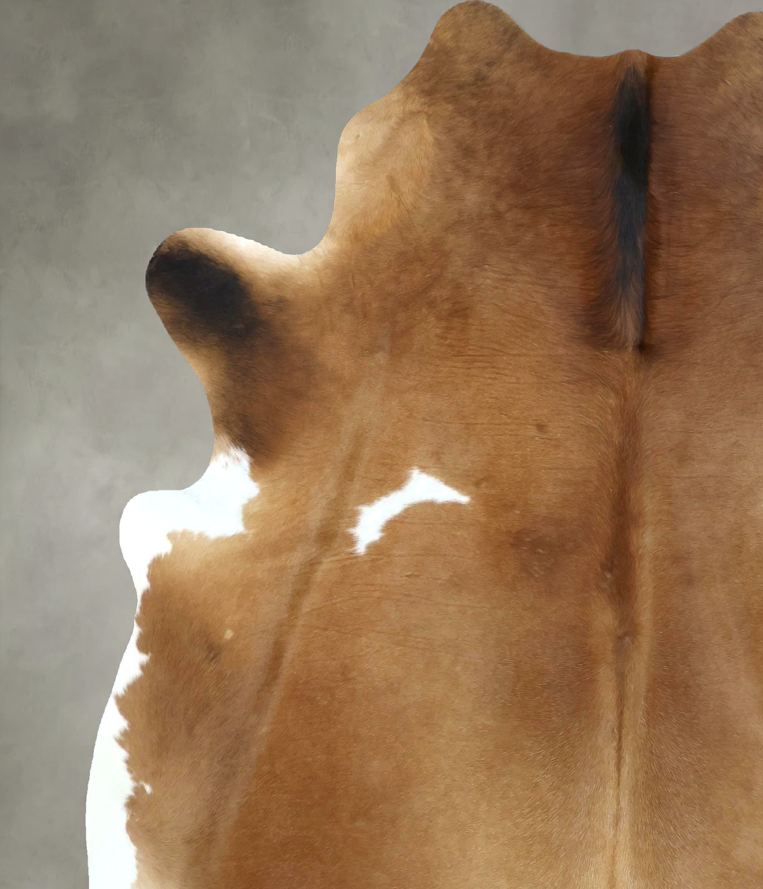 Light Caramel X-Large Brazilian Cowhide Rug 7'2"H x 6'1"W #B21143 by H