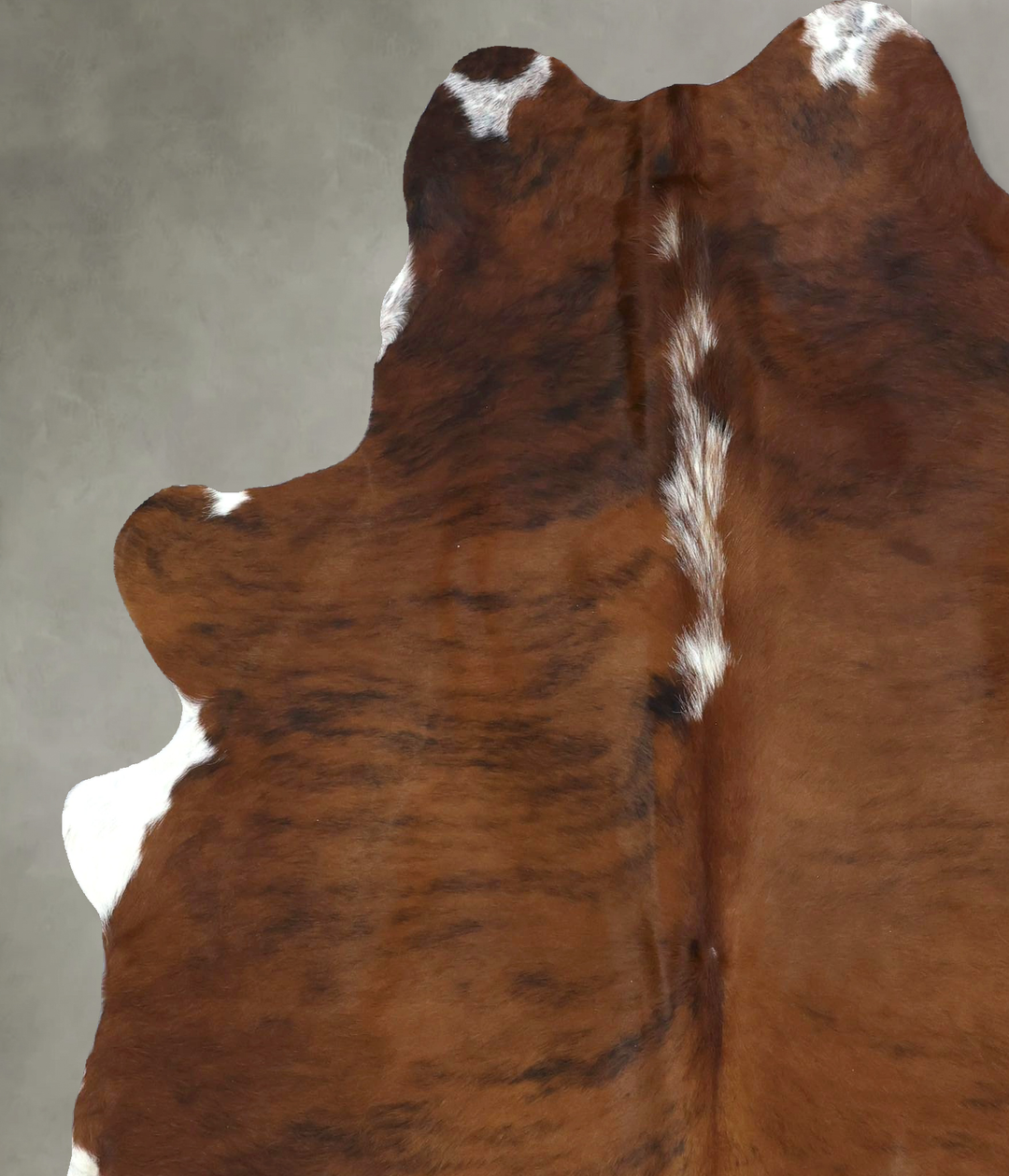Tricolor Large Brazilian Cowhide Rug 6'11"H x 5'6"W #B21148 by Hudson 