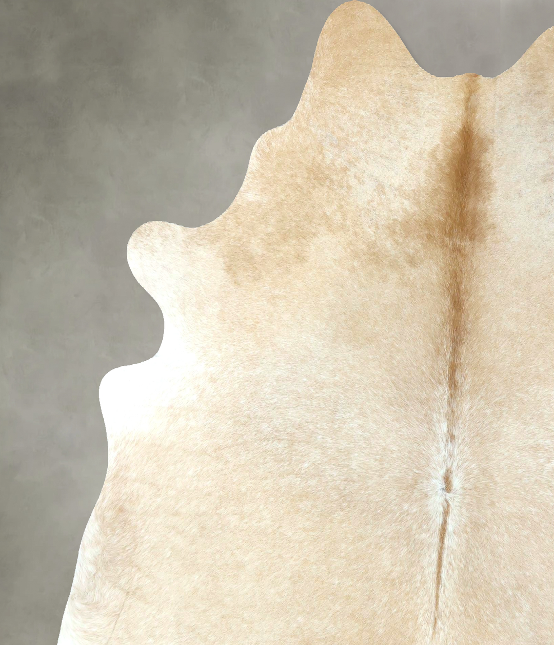 Palomino X-Large Brazilian Cowhide Rug 7'4"H x 6'5"W #B21151 by Hudson