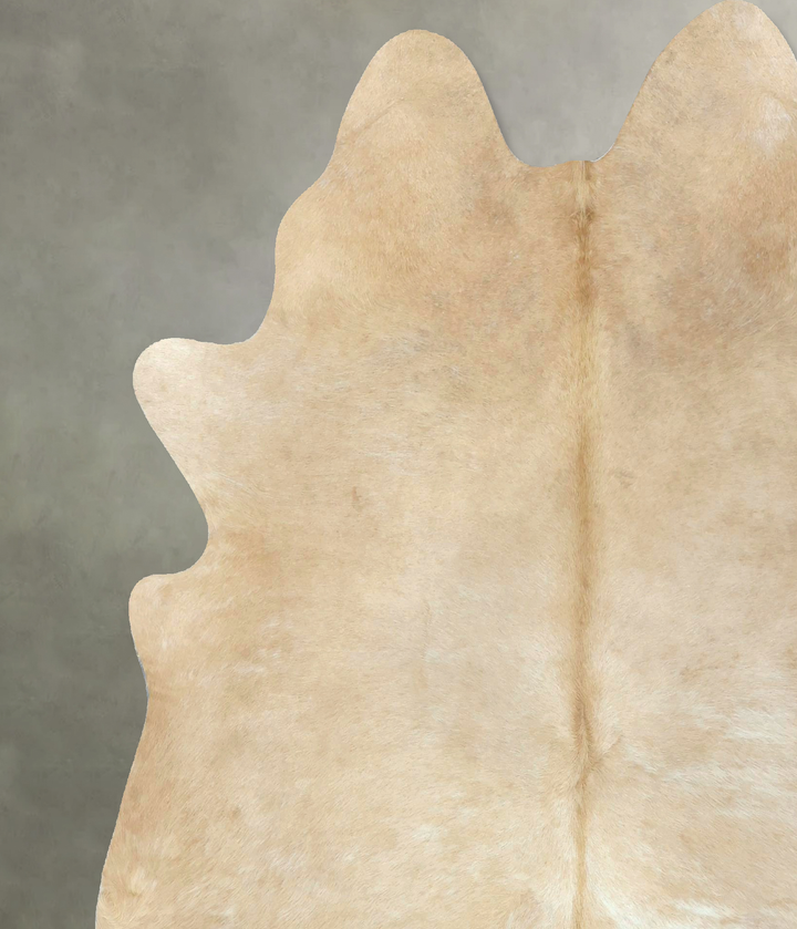 Palomino X-Large Brazilian Cowhide Rug 7'3"H x 6'5"W #B21152 by Hudson Hides