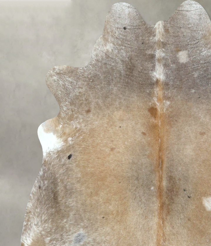 Grey with Beige X-Large Brazilian Cowhide Rug 6'10"H x 6'5"W #B21158 by Hudson Hides