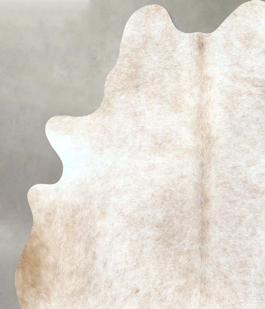Beige Large Brazilian Cowhide Rug 6'11"H x 5'8"W #B21159 by Hudson Hid