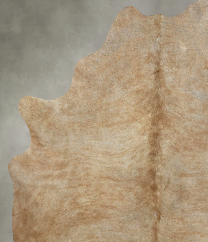 Light Caramel Large Brazilian Cowhide Rug 6'7"H x 5'5"W #B21163 by Hudson Hides