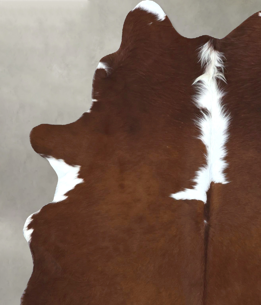 Hereford Large Brazilian Cowhide Rug 6'9"H x 5'2"W #B21169 by Hudson H