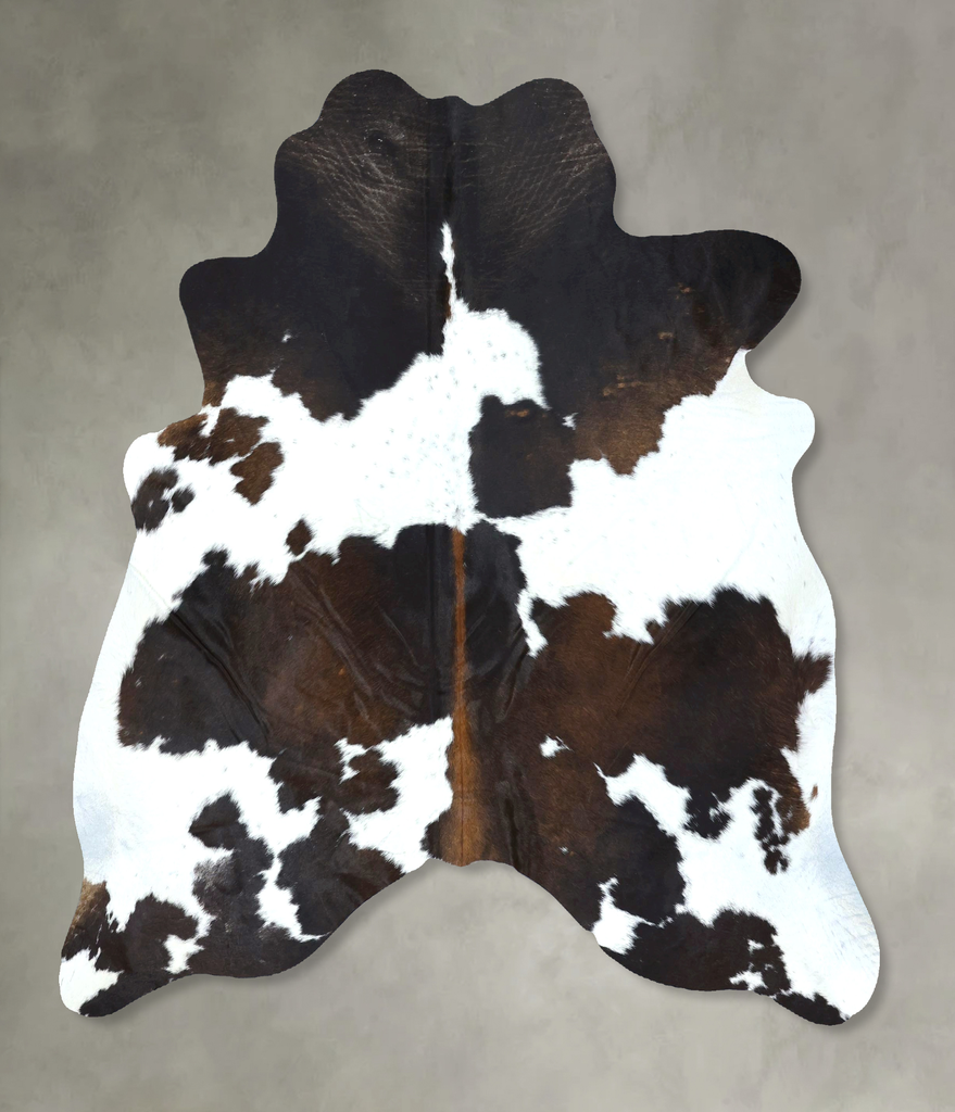 Chocolate and White Large Brazilian Cowhide Rug 6'2"H x 5'6"W #B21170 by Hudson Hides