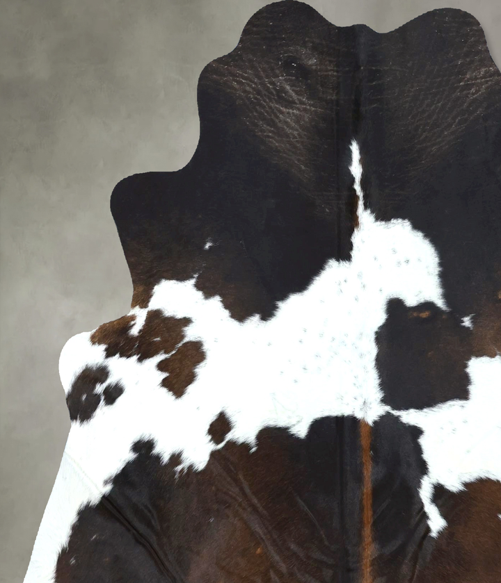 Chocolate and White Large Brazilian Cowhide Rug 6'2"H x 5'6"W #B21170 by Hudson Hides