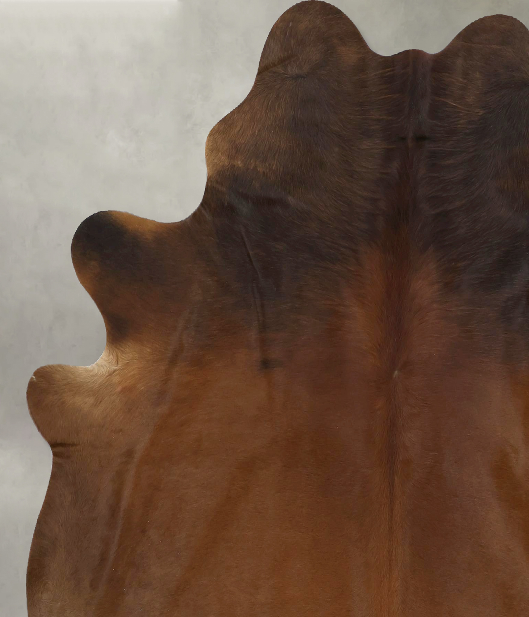 Warm Caramel X-Large Brazilian Cowhide Rug 6'9"H x 6'0"W #B21176 by Hu