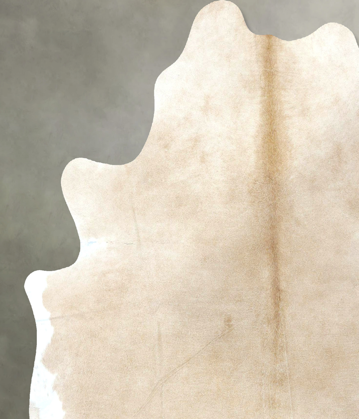 Palomino X-Large Brazilian Cowhide Rug 7'3"H x 5'9"W #B21190 by Hudson Hides