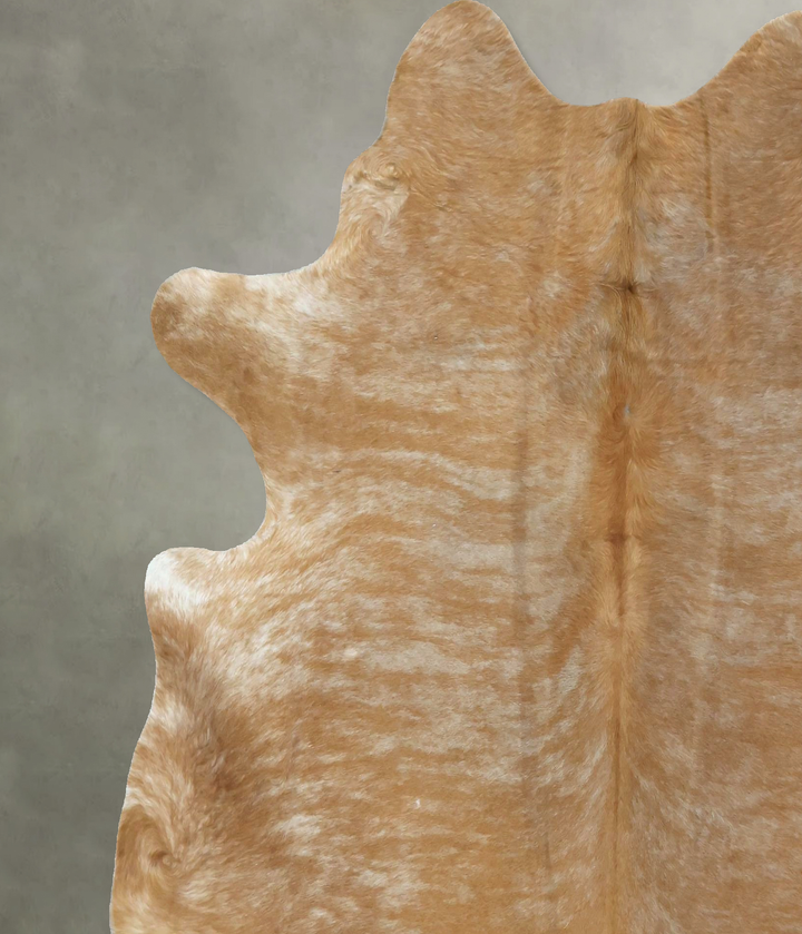 Light Caramel X-Large Brazilian Cowhide Rug 6'10"H x 6'5"W #B21192 by Hudson Hides