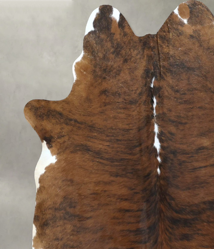 Medium Brindle Large Brazilian Cowhide Rug 6'5"H x 5'11"W #B21194 by Hudson Hides