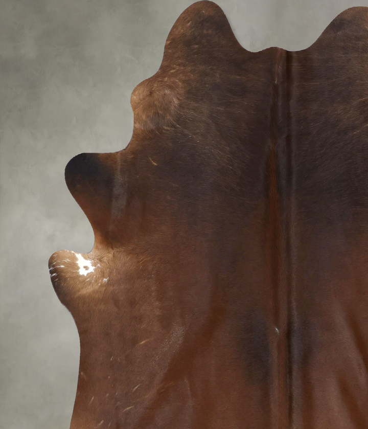 Warm Caramel X-Large Brazilian Cowhide Rug 7'5"H x 6'3"W #B21199 by Hudson Hides
