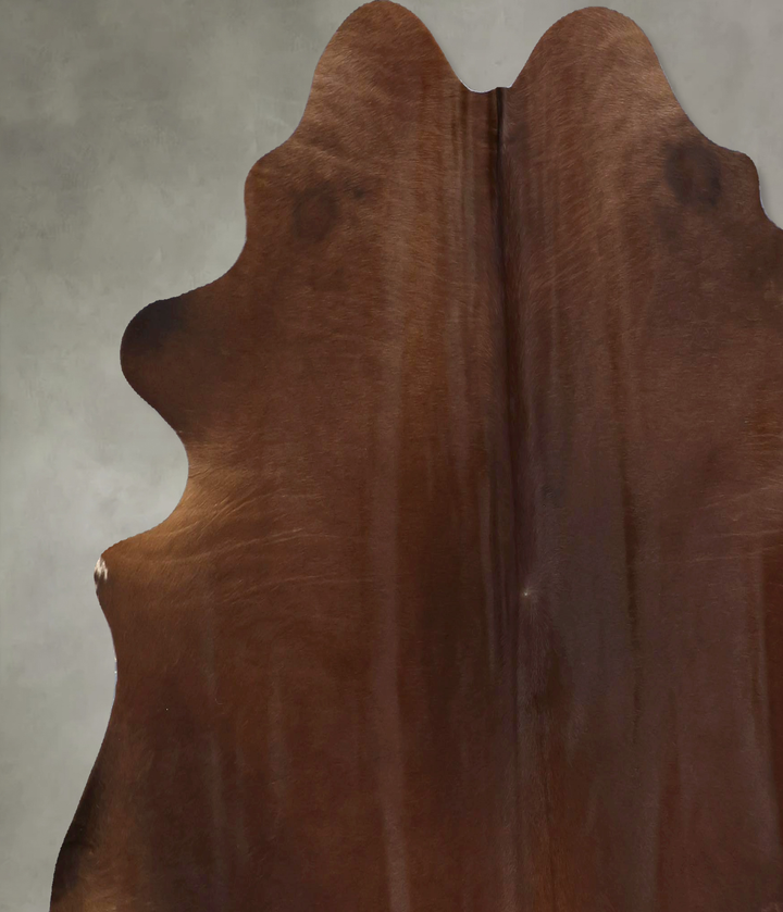 Warm Caramel X-Large Brazilian Cowhide Rug 6'4"H x 6'10"W #B21201 by Hudson Hides