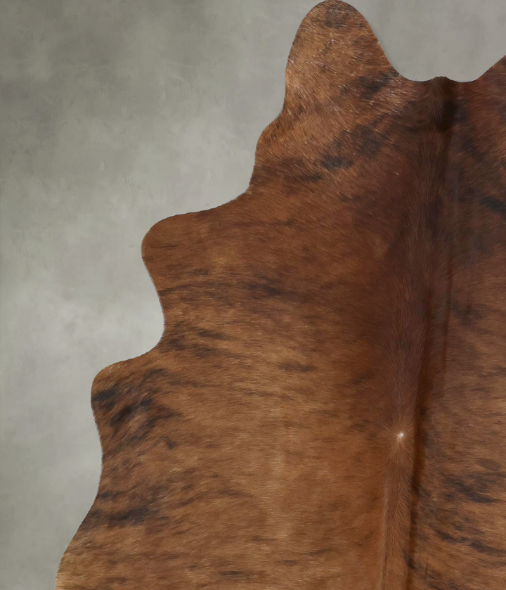 Medium Brindle Large Brazilian Cowhide Rug 6'5"H x 5'2"W #B21210 by Hudson Hides