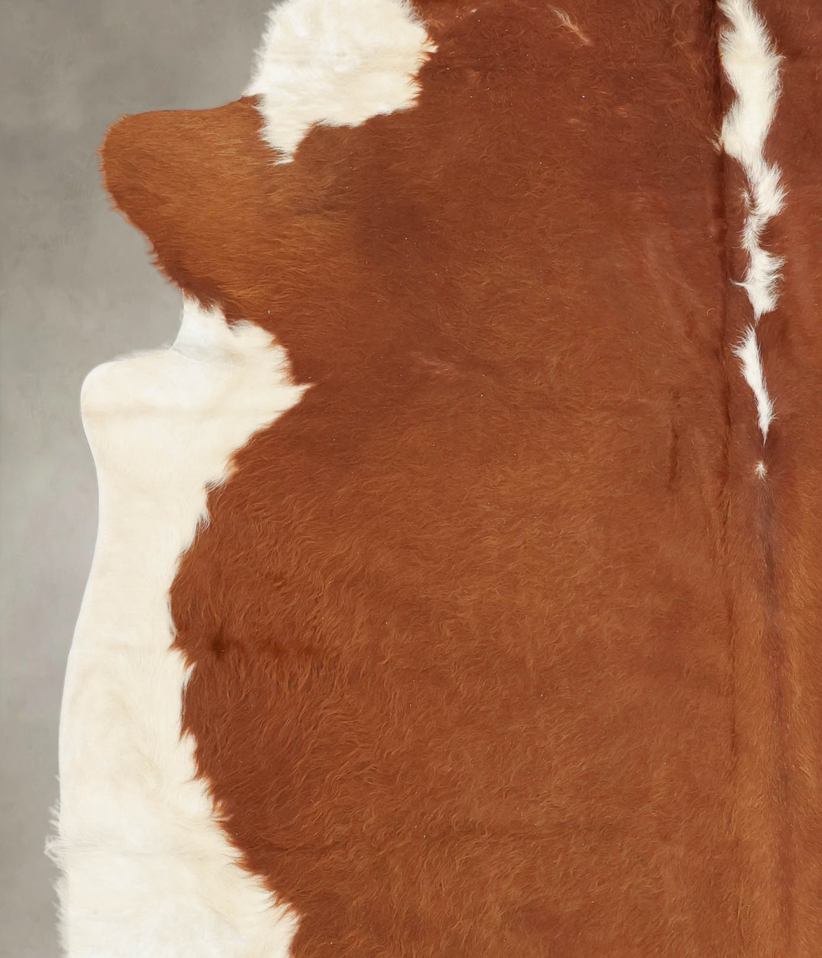 Hereford XX-Large Brazilian Cowhide Rug 7'4"H x 7'2"W #B2122 by Hudson Hides
