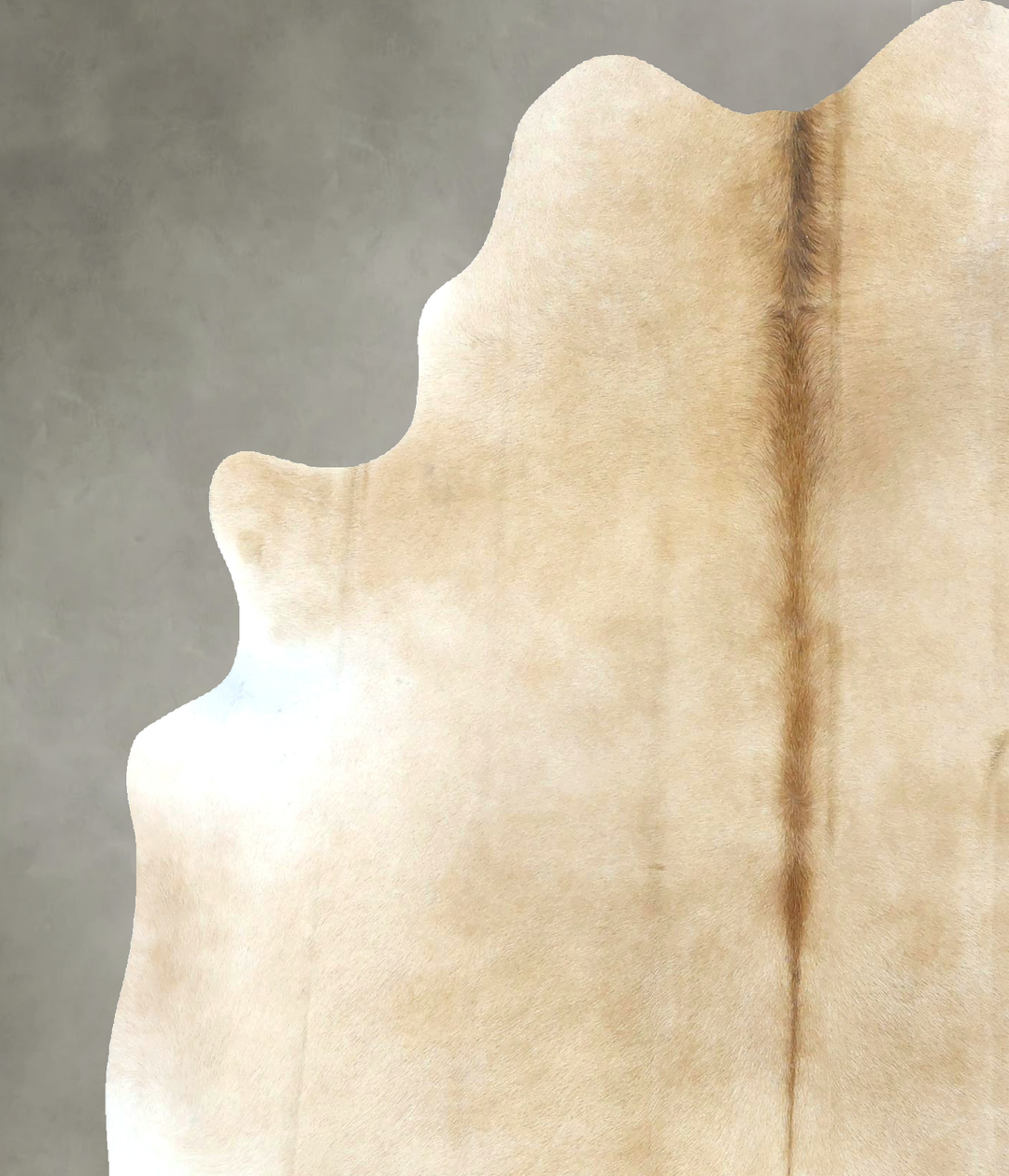 Beige Large Brazilian Cowhide Rug 6'11"H x 5'6"W #B21226 by Hudson Hid