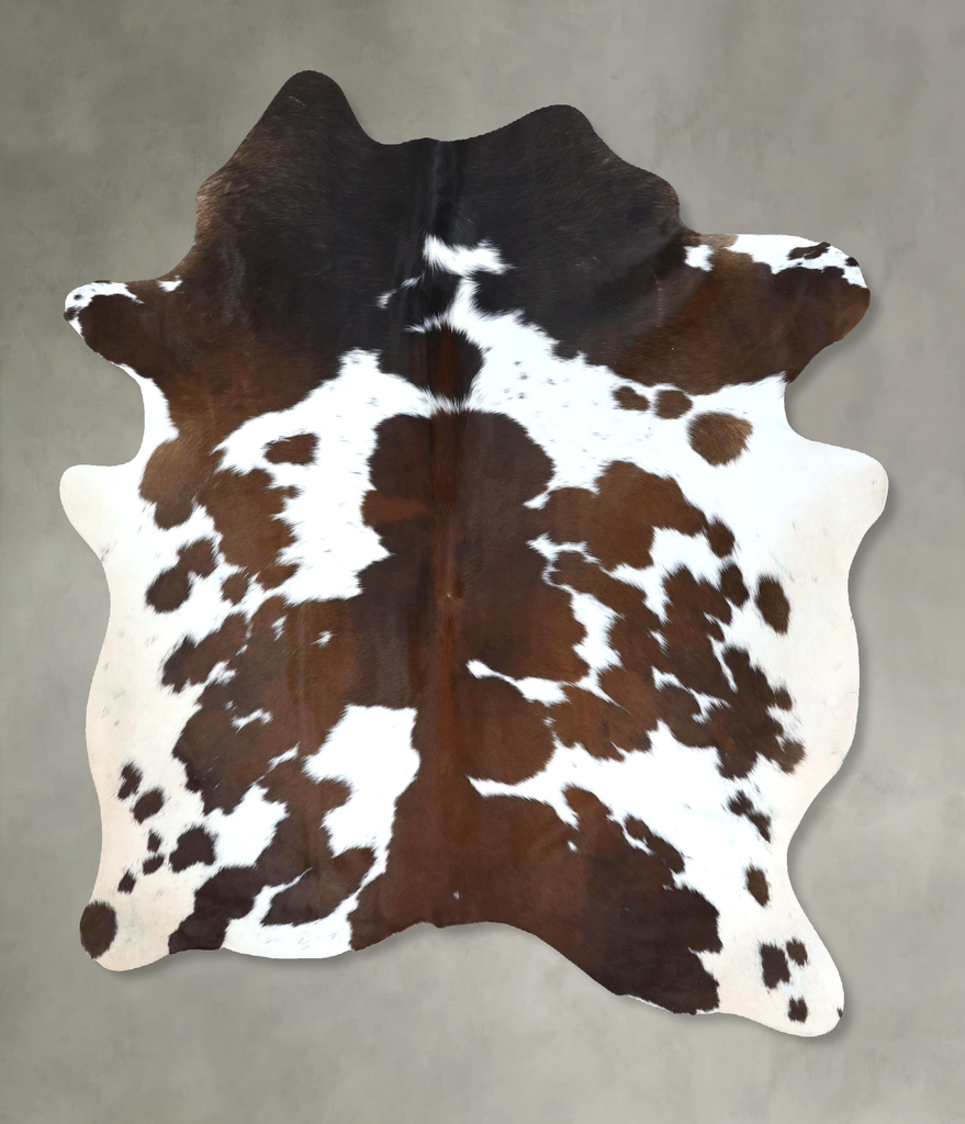 Chocolate and White Large Brazilian Cowhide Rug 6'6"H x 5'1"W #B21229 by Hudson Hides