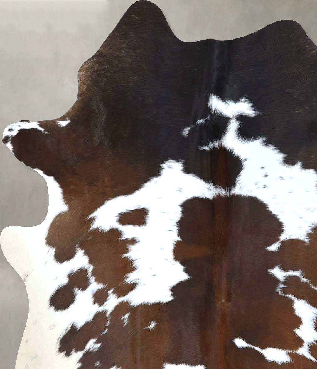 Chocolate and White Large Brazilian Cowhide Rug 6'6"H x 5'1"W #B21229 
