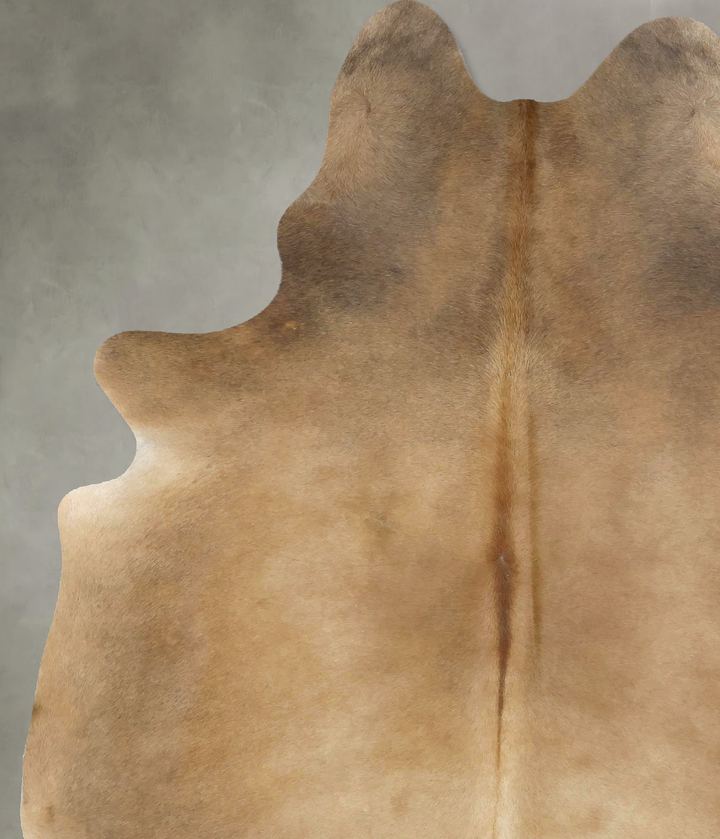 Light Caramel X-Large Brazilian Cowhide Rug 7'8"H x 5'6"W #B21237 by Hudson Hides