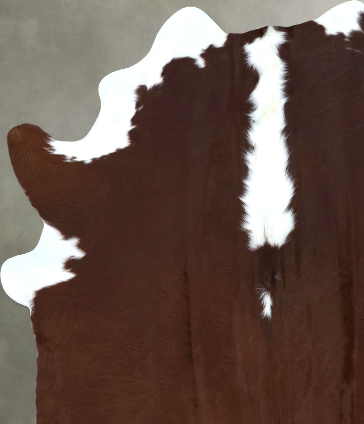 Hereford X-Large Brazilian Cowhide Rug 7'1"H x 5'9"W #B21240 by Hudson Hides