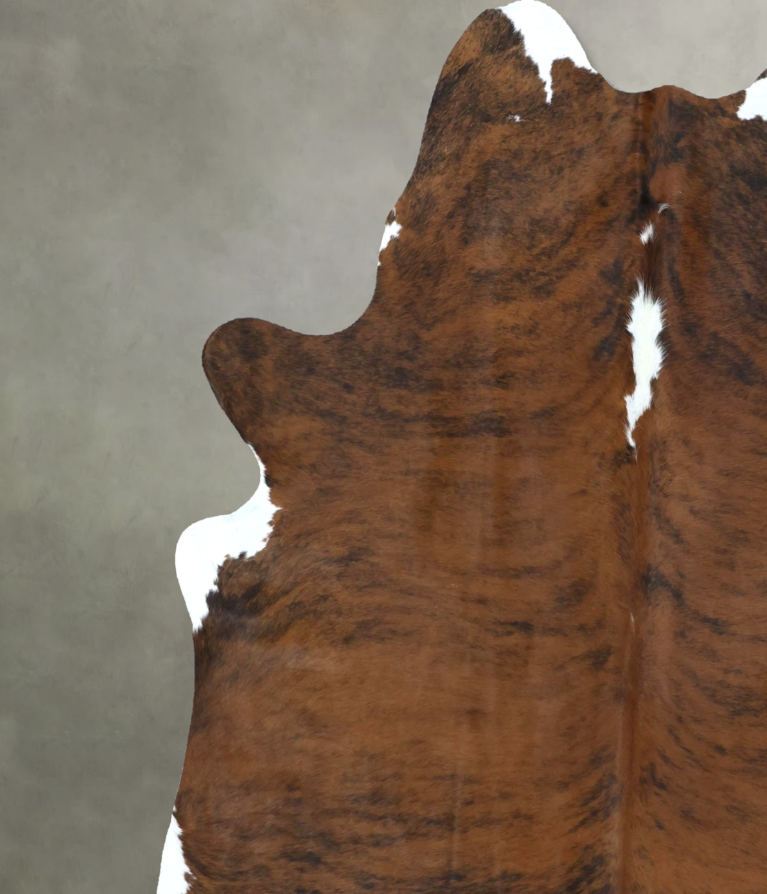 Medium Brindle X-Large Brazilian Cowhide Rug 7'5"H x 6'3"W #B21245 by 