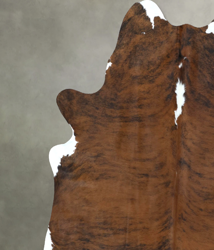 Medium Brindle X-Large Brazilian Cowhide Rug 7'5"H x 6'3"W #B21245 by Hudson Hides