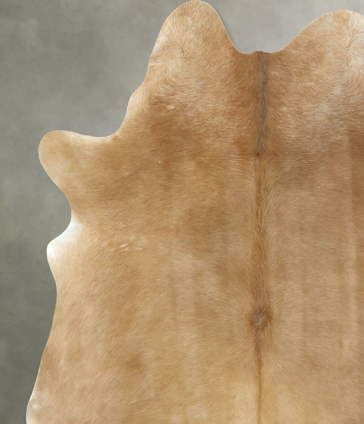 Beige X-Large Brazilian Cowhide Rug 7'4"H x 5'10"W #B21246 by Hudson Hides