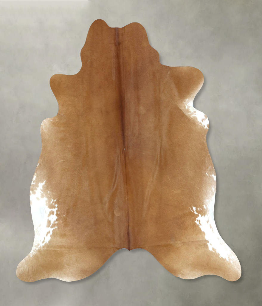 Beige Large Brazilian Cowhide Rug 6'3"H x 6'1"W #B21248 by Hudson Hides