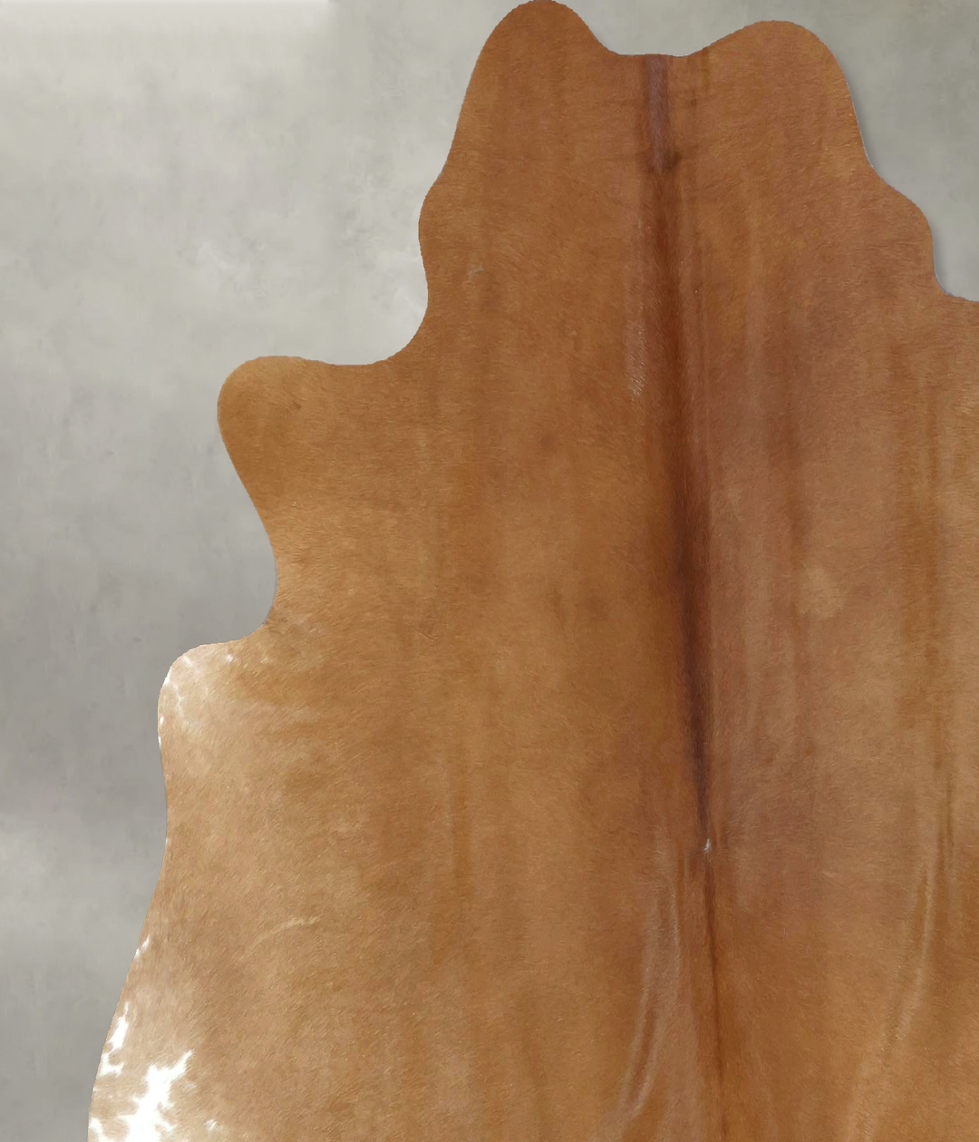 Beige Large Brazilian Cowhide Rug 6'3"H x 6'1"W #B21248 by Hudson Hide