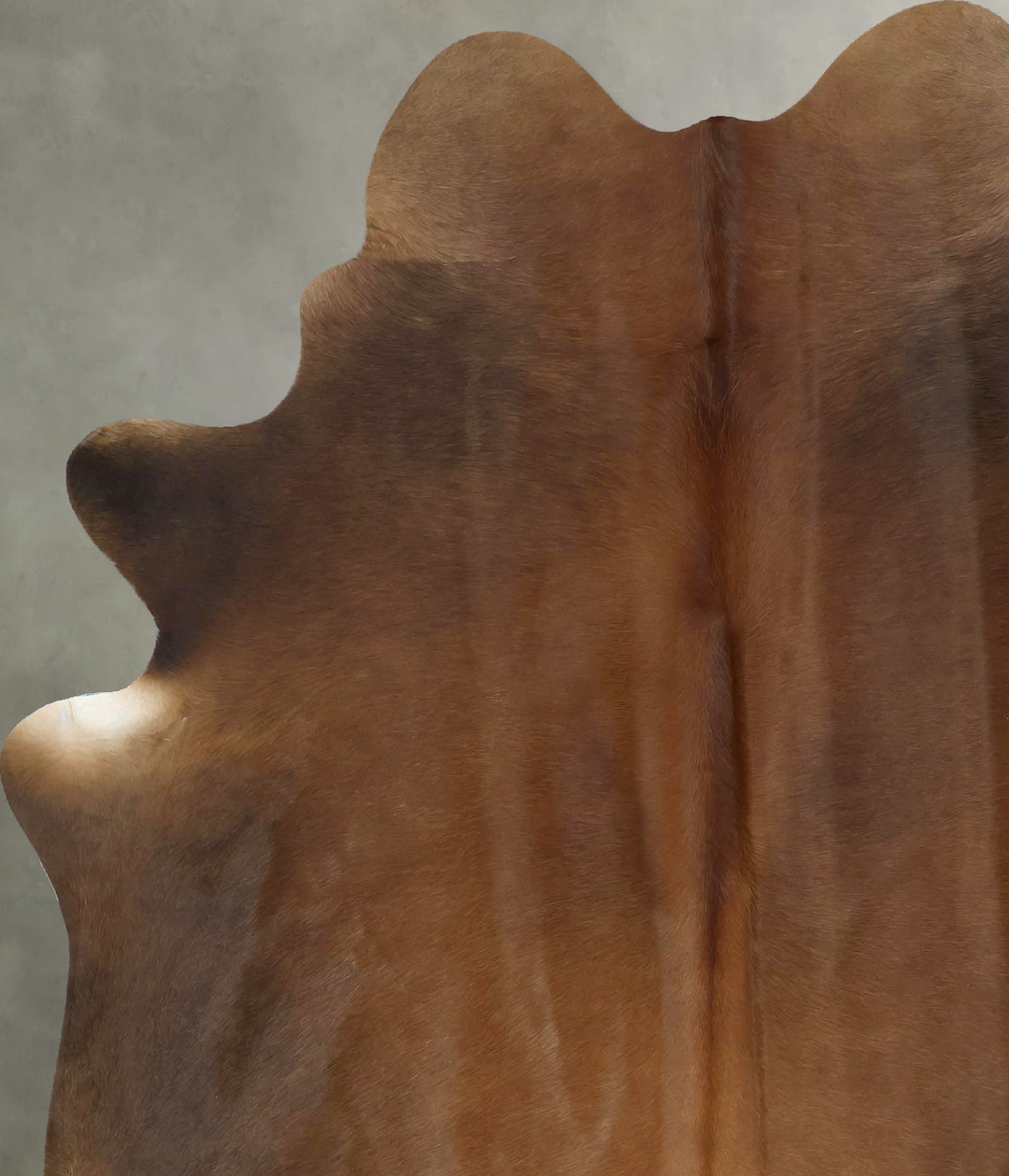 Warm Caramel X-Large Brazilian Cowhide Rug 7'1"H x 5'8"W #B21250 by Hu