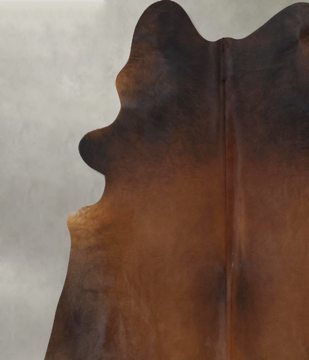 Warm Caramel X-Large Brazilian Cowhide Rug 7'4"H x 6'4"W #B21253 by Hu