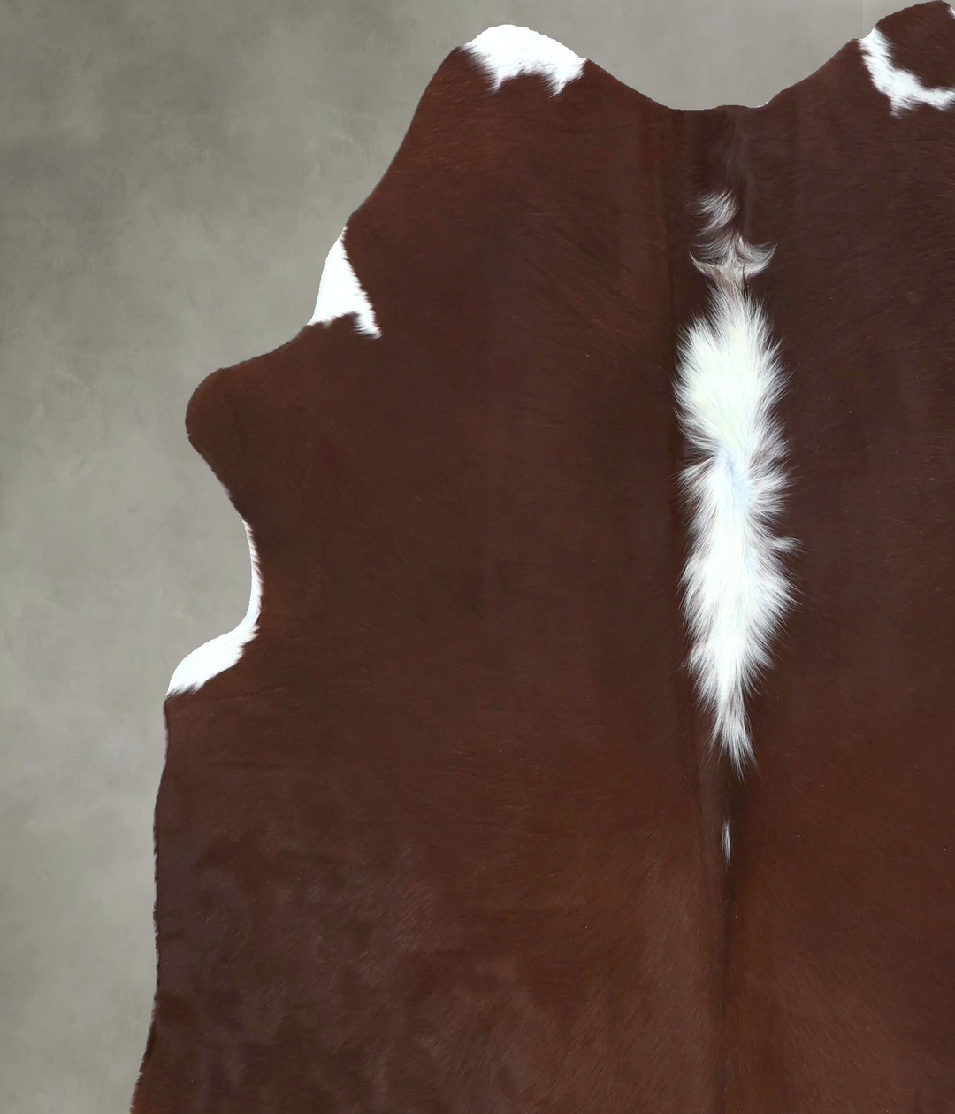 Brown and White Regular Large Brazilian Cowhide Rug 6'7"H x 6'1"W #B21