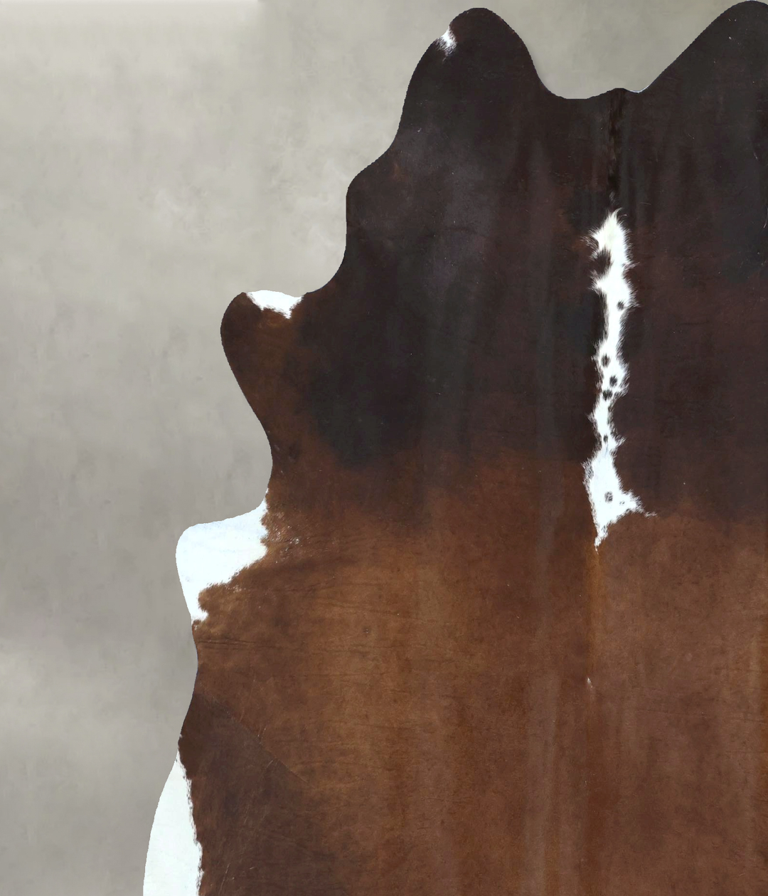 Chocolate and White X-Large Brazilian Cowhide Rug 7'6"H x 6'3"W #B2125