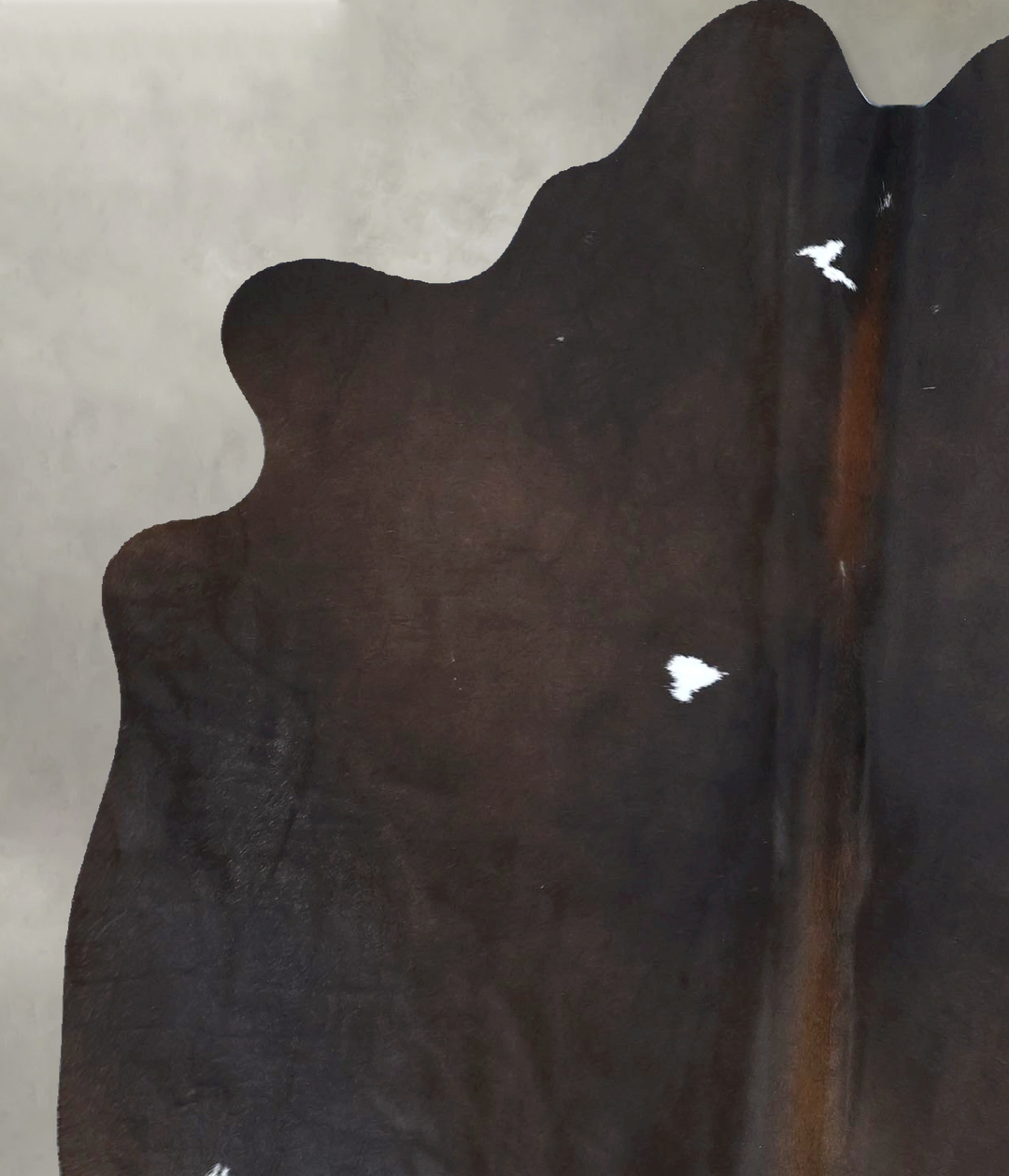 Chocolate and White Large Brazilian Cowhide Rug 6'3"H x 4'10"W #B21259