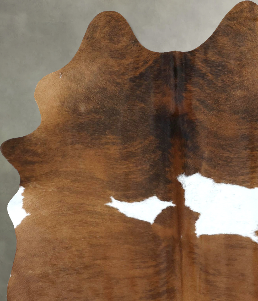 Medium Brindle Large Brazilian Cowhide Rug 7'5"H x 5'2"W #B21262 by Hu