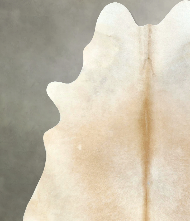 Ivory with Beige X-Large Brazilian Cowhide Rug 6'11"H x 5'11"W #B21263 by Hudson Hides