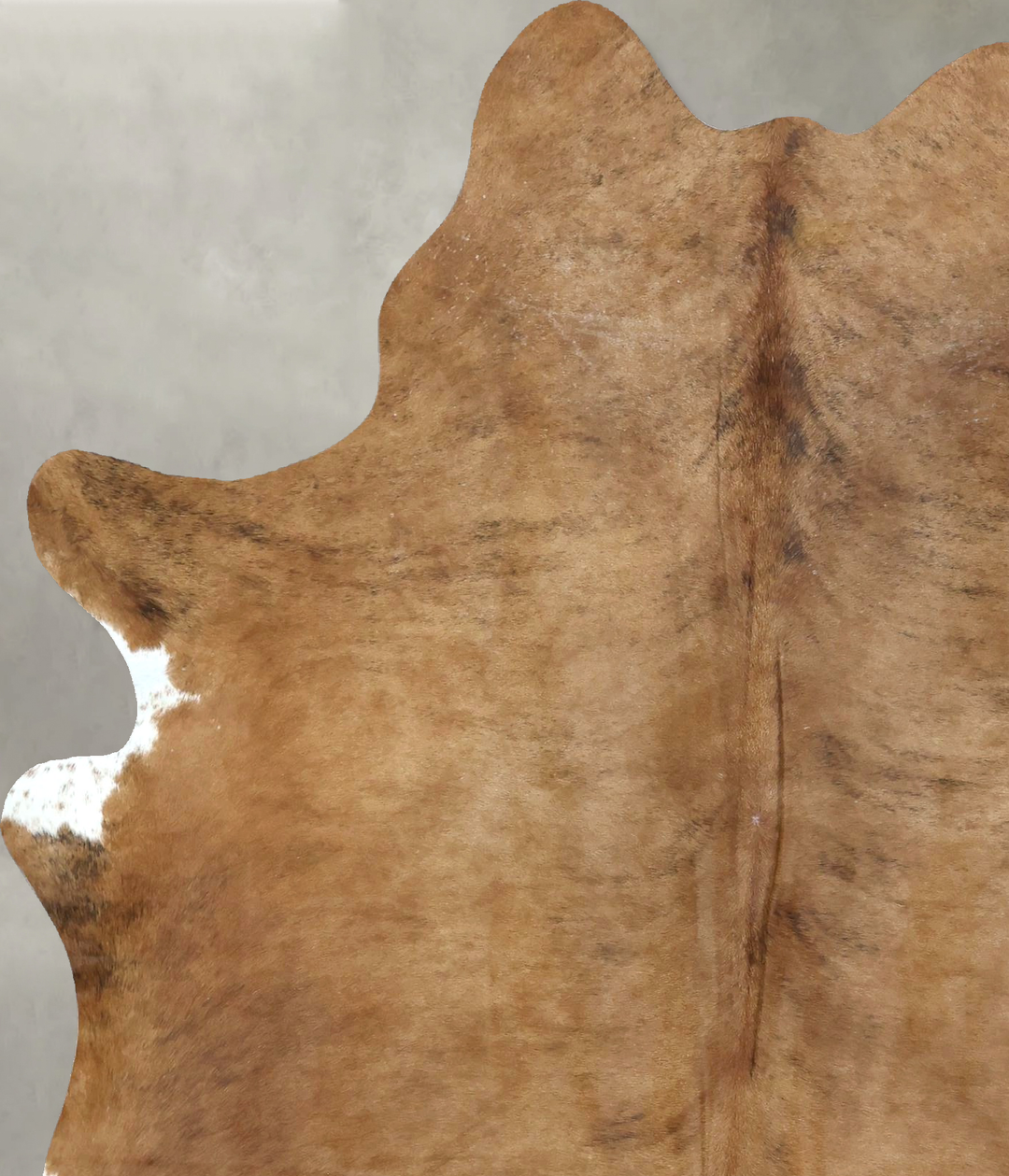 Medium Brindle Large Brazilian Cowhide Rug 7'2"H x 5'6"W #B21264 by Hu